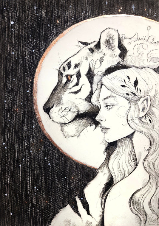 Observing the Universe