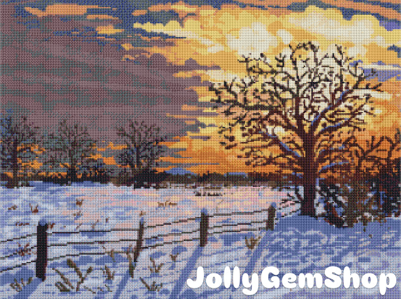 Winter Morning