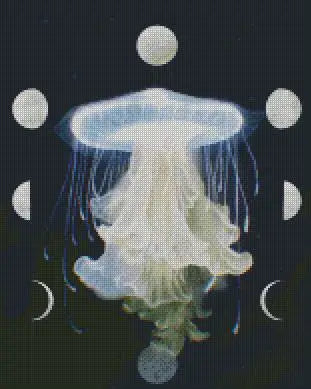 Moon Phase Jellyfish