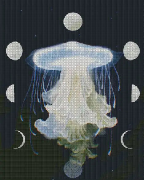 Moon Phase Jellyfish