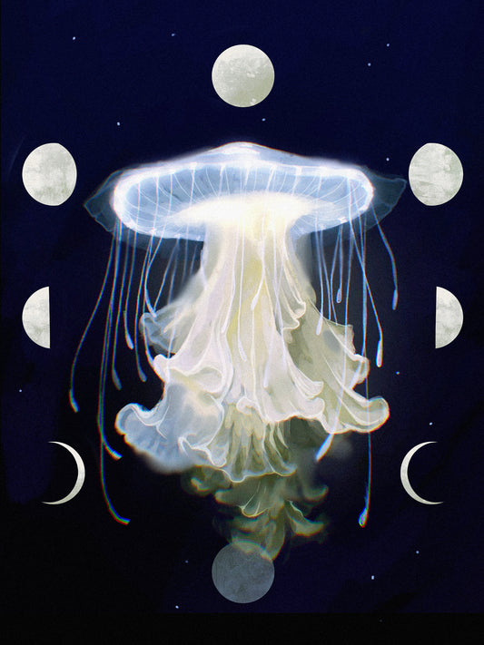 Moon Phase Jellyfish